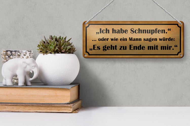 Blechschild Spruch 27x10cm ich habe Schnupfen es geht zu Ende