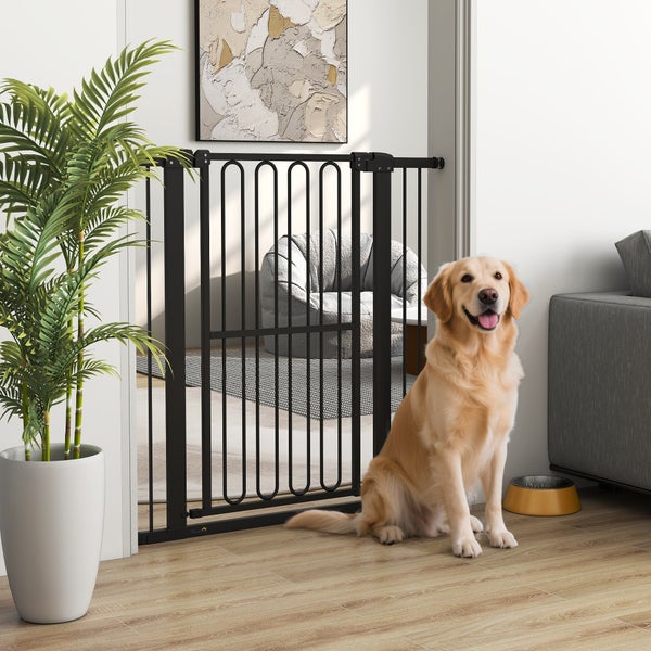 Innenraum mit schwarzem Hundegitter, Golden Retriever Hund und Zimmerpflanze im Topf