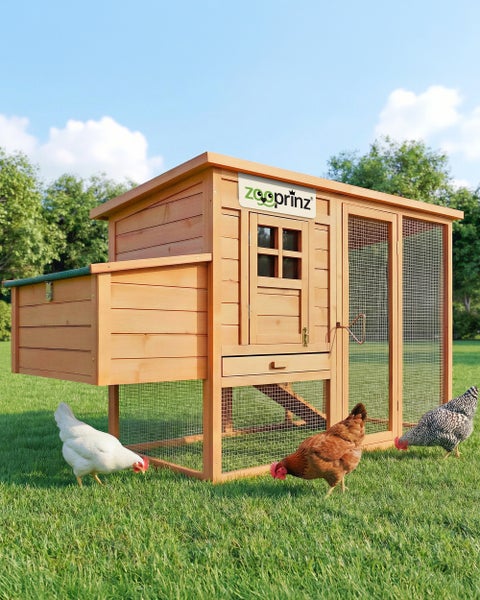 Hühnerstall aus Holz von zooprinz mit integriertem Auslauf und Nistkasten auf einer Wiese mit Hühnern.