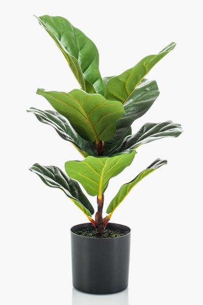 Künstliche Pflanze Dracaena mit drei strukturierten Stämmen und grün-weiß gestreiften Blättern in schwarzem Kunststofftopf.