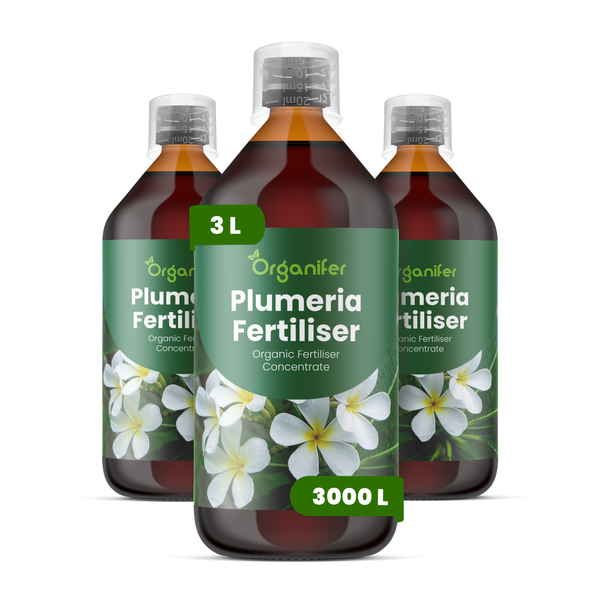 Drei Flaschen Organifer Plumeria Dünger, organisches Konzentrat, 3 Liter Gesamtmenge für 3000 Liter Gießwasser.