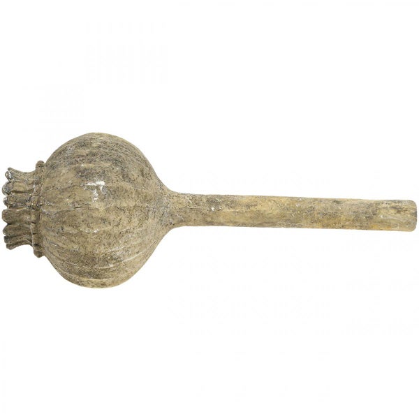 Dekorative Mohnkapsel zur Dekoration