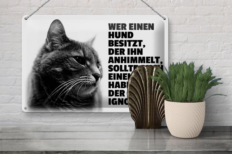 Blechschild Spruch 30x20cm Hund himmelt an Kater ignoriert