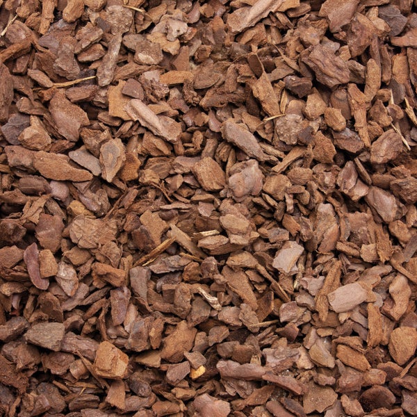 Nahaufnahme von Rindenmulch zur Bodenabdeckung im Garten und in Beeten.