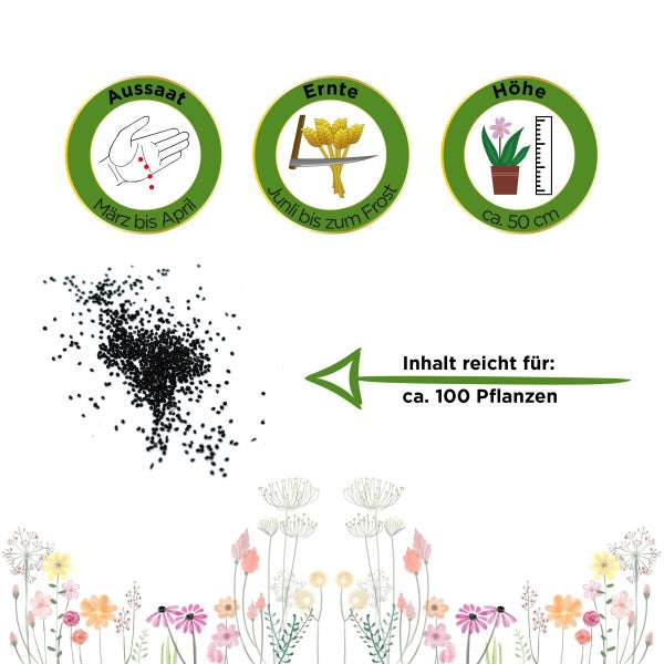 Pfefferminze Samen von Deine Gartenwelt