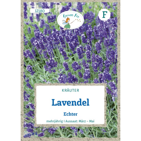 Lavendel Echter Samen von Grüne Fee
