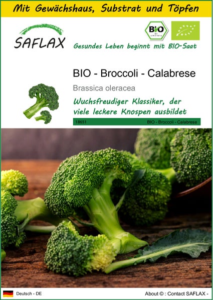 SAFLAX Anzucht Set - BIO - Broccoli - Calabrese - Brassica oleracea - 100 Samen - Mit Mini-Gewächshaus, Anzuchtsubstrat und 2 Töpfen