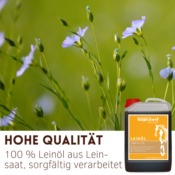 Hochwertiges Supravit WiesenGlück Leinöl für Pferde und Ponys, 5000 Milliliter Kanister, 100 Prozent natürliches Öl aus Leinsaat.