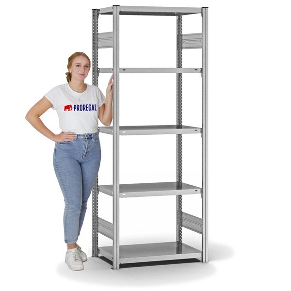 PROREGAL Fachbodenregal Stecksystem T-Profil Light-Duty Grundregal HxBxT 200 x 75 x 40 cm 5 Ebenen Fachlast 145 kg Beidseitig Nutzbar Verzinkt