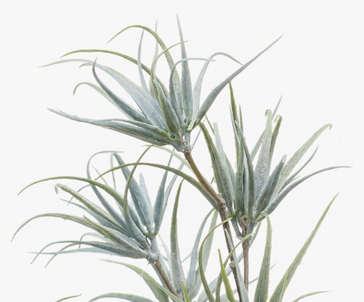 Künstlicher Zweig mit graugrünen Tillandsia-Blättern, dekorative Kunstpflanze.