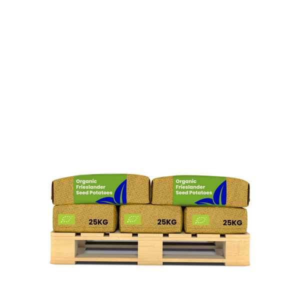 Tragkraft Diagramm für Trutzholm Rampen