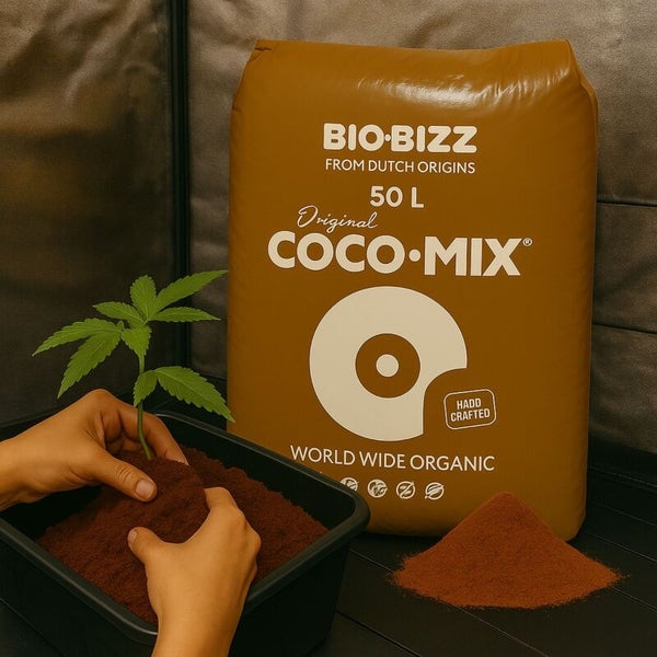 Ein 50 Liter Sack Bio-Bizz Original Coco-Mix Bio-Substrat neben einer kleinen Pflanze, die in einen schwarzen Behälter eingepflanzt wird.