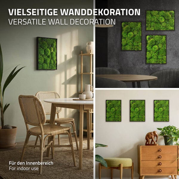Wandbilder aus echtem Moos in schwarzen Rahmen als vielseitige Wanddekoration für den Innenbereich, in verschiedenen Wohnräumen präsentiert.