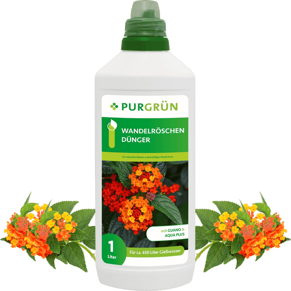 Purgrün Wandelröschen-Dünger 1 Liter