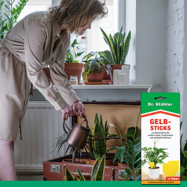 Effektive Gelbsticks zur Insektenbekämpfung – Gelbe Klebefallen gegen fliegende Schädlinge – Giftfrei & geruchslos – Für Blumentöpfe, Fensterbank, Balkon & Gewächshaus