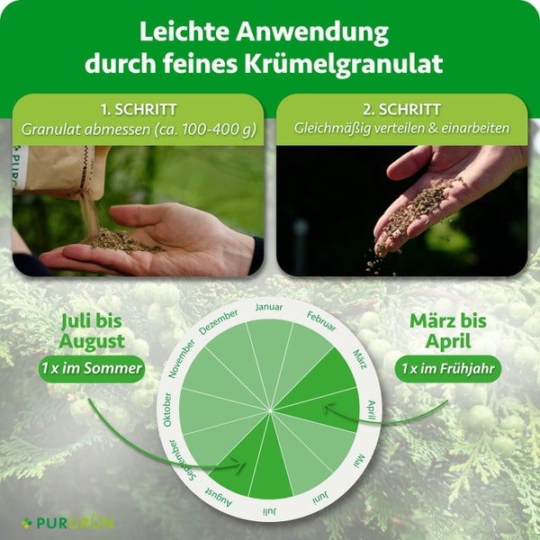 Anwendungshinweise für feines Krümelgranulat mit Dosierempfehlung und Jahreskalender für die Düngung von Purgrün.