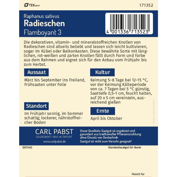 Radieschen lang & zweifarbig Flamboyant Samen von Pabst Keimkraft