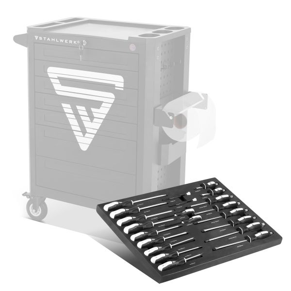 Schraubendrehersatz in Werkzeugwagen-Einlage