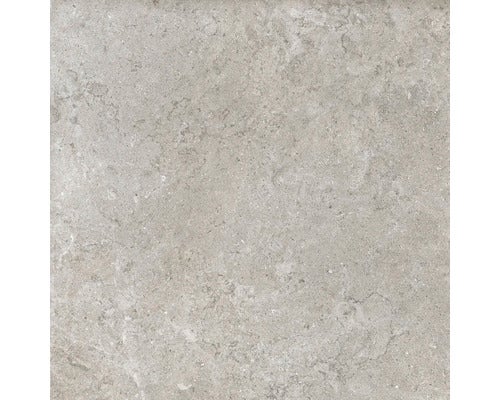 Wand- und Bodenfliese Jurassic grigio 60x60 cm