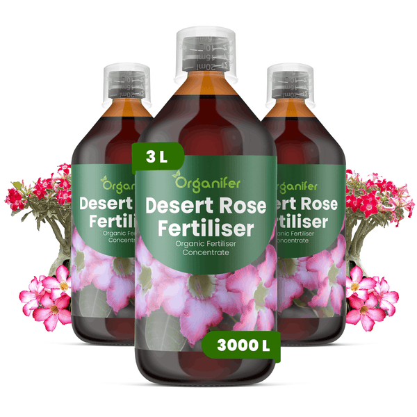 Organifer Wüstenrosen-Dünger, organisches Düngerkonzentrat, drei Flaschen à 3 Liter, mit Wüstenrosen-Motiv.