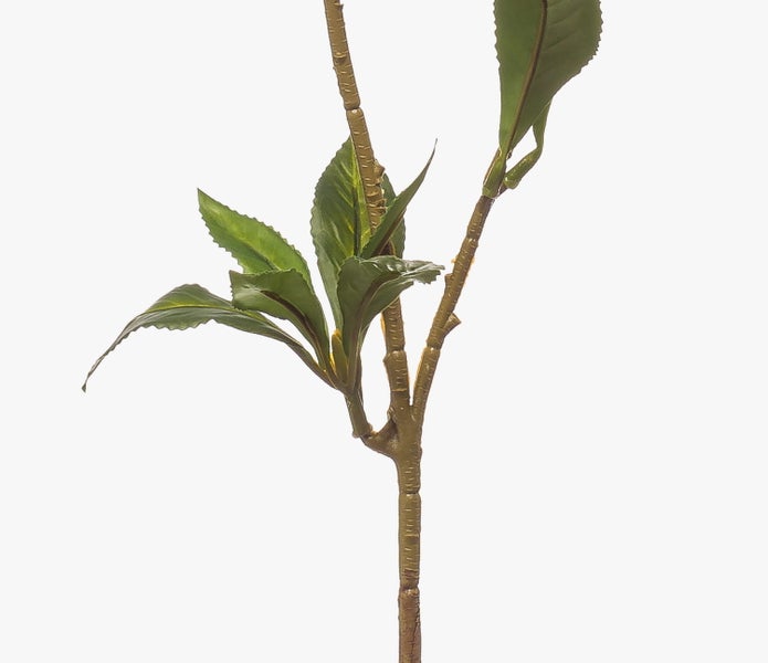 Künstliche Orchidee Phalaenopsis mit weißen Blüten und gelbem Zentrum.