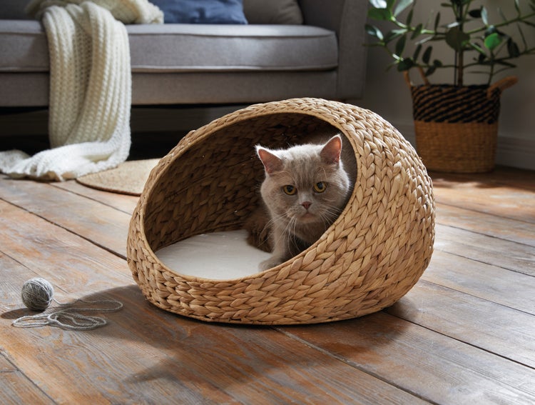 FRANK FLECHTWAREN | Tierbett Kuschelhöhle, ca. Ø 50 x 30 cm, Kissen Ø 40 x 4 cm, KORBGEFLECHT, METALL