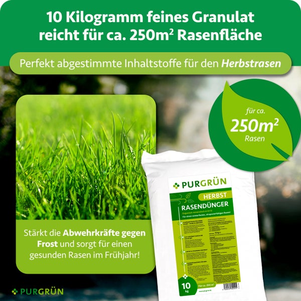 Purgrün Herbst Rasendünger im 10 Kilogramm Sack für circa 250 Quadratmeter Rasenfläche mit Nahaufnahme von grünem Gras und Purgrün Logo.