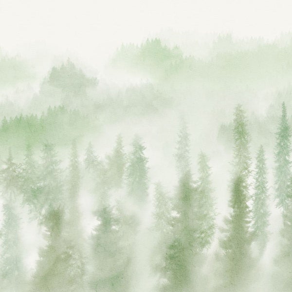 Illustration eines nebligen Waldes mit Nadelbäumen