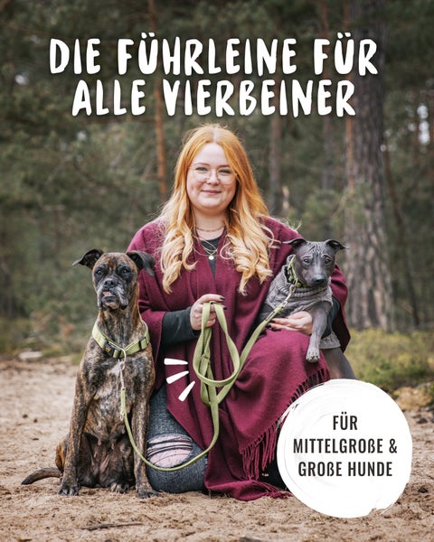 Frau mit zwei Hunden und Hundeleine im Freien