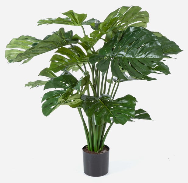 Künstliche Monstera Pflanze in einem schwarzen Topf mit großen grünen Blättern für die Innenraumdekoration.