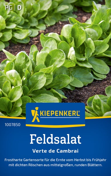 Kiepenkerl Feldsalat Verte de Cambrai Saatgut für den Anbau von frosthartem Feldsalat mit dichten Röschen und runden Blättern