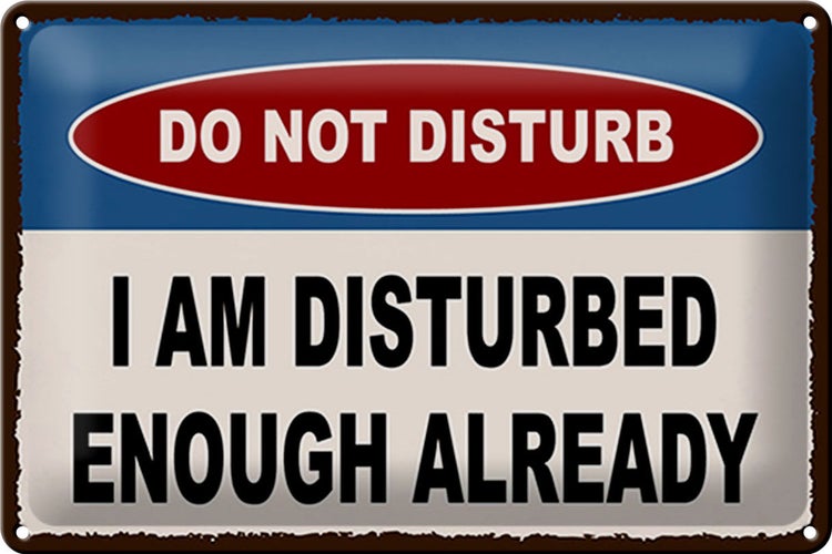 Blechschild Spruch 30x20cm do not disturb I am disturbed