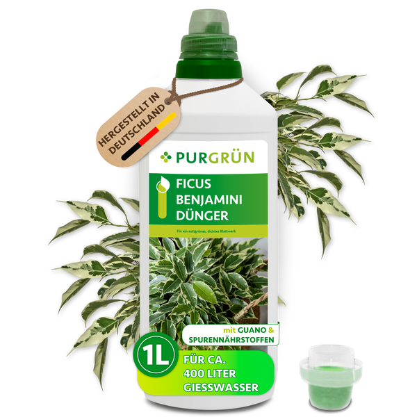 Purgrün Ficus Benjamini Dünger, 1 Liter Flasche mit Guano und Spurennährstoffen für circa 400 Liter Gießwasser, hergestellt in Deutschland.