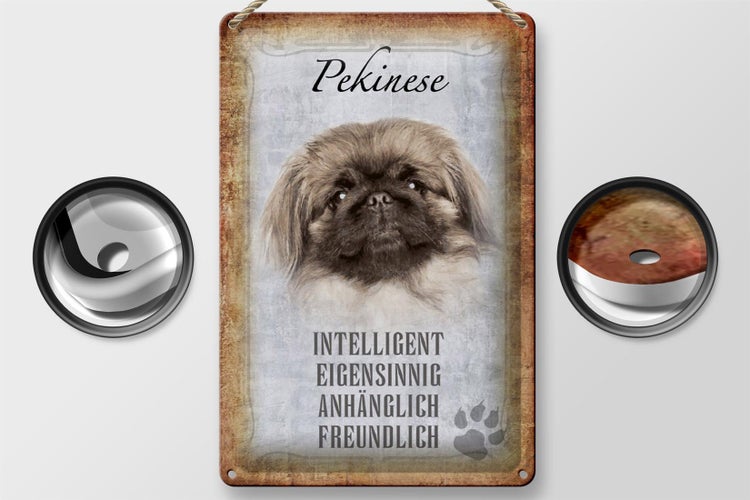 Blechschild Spruch 20x30cm Pekinese Hund Schild