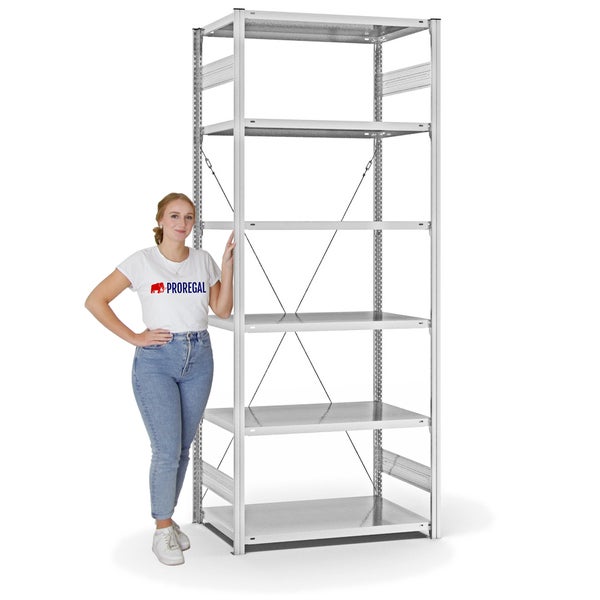 PROREGAL Fachbodenregal Stecksystem T-Profil Light-Duty Grundregal HxBxT 250 x 100 x 60 cm 6 Ebenen Fachlast 140 kg Einseitig Nutzbar Lichtgrau