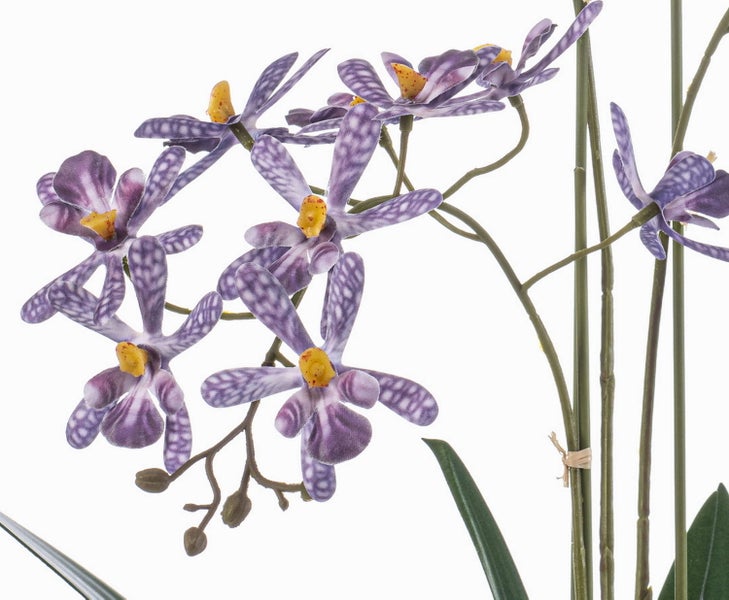 Künstliche Kamelie mit weißen Blüten und grünen Blättern im schwarzen Topf.