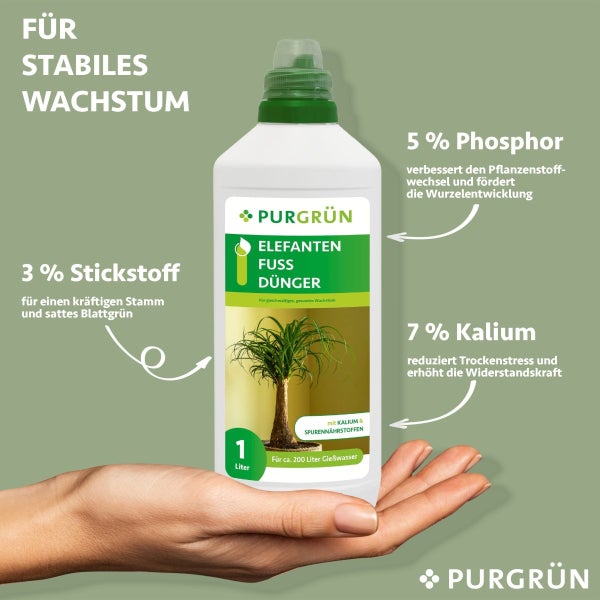 Purgrün Elefantenfuß-Dünger 1 Liter
