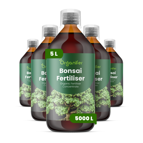 Organifer Bonsaidünger, 5 Liter organisches Flüssigdüngerkonzentrat in fünf Flaschen, ausreichend für bis zu 5000 Liter Gießwasser.