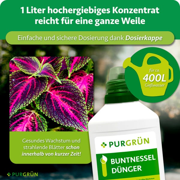 Purgrün Buntnessel Dünger Konzentrat 1 Liter für 400 Liter Gießwasser zur Förderung von gesundem Wachstum und strahlenden Blättern.