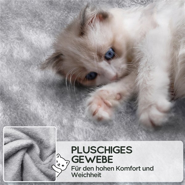 Ein Kätzchen liegt auf einem kuscheligen Stoff