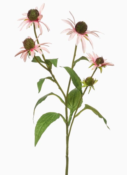 Künstliche Pflanze in schwarzem Kunststofftopf mit Moos und braunen Details.