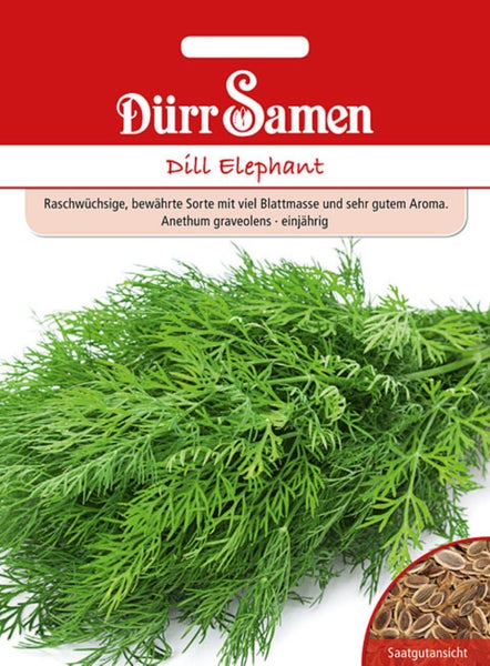 Samentüte Dürr Samen Dill Elephant mit Abbildung von frischem Dill und Detailansicht der Samen.