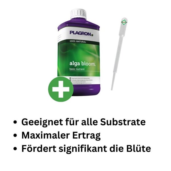 Plagron Alga Bloom 100 ml – Biologischer Blühdünger für üppige Blüten | Für Tomaten, Orchideen & mehr mit praktischer Pipette