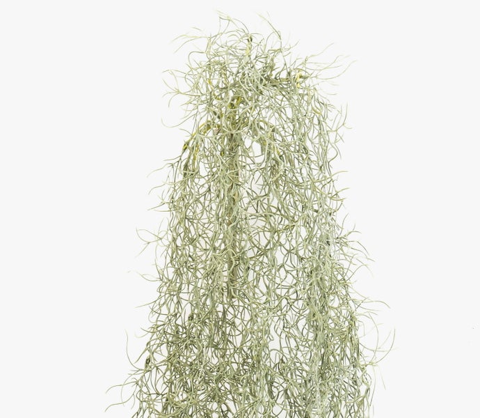 Künstliche Mohnblüte in Cremeweiß aus Textilmaterial.