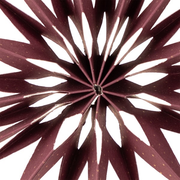 Dekorativer Papierstern mit ausgestanzten Mustern