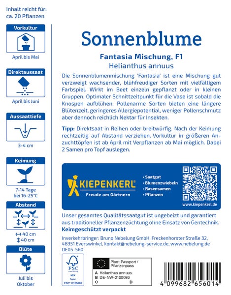 Saatgut Sonnenblume Fantasia Mischung von Kiepenkerl mit Anbauinformationen und Hinweisen zu Vorkultur, Aussaat und Pflege.