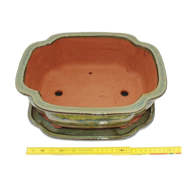 Bio Aubergine Long Purple Produktverpackung