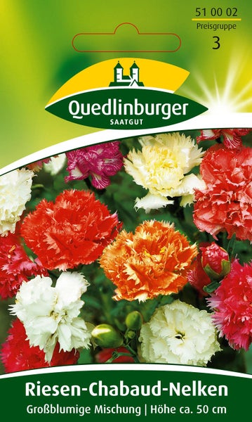 Quedlinburger Saatgut Samentüte für Riesen-Chabaud-Nelken, großblumige Mischung, Wuchshöhe circa 50 Zentimeter.