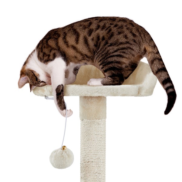 Katze auf einem Kratzbaum mit Spielzeug