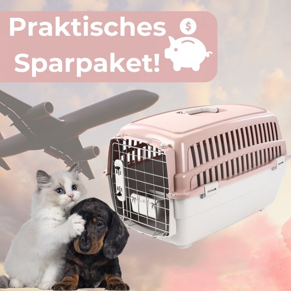 Haustiertransportbox im Sparpaket mit Hund und Katze